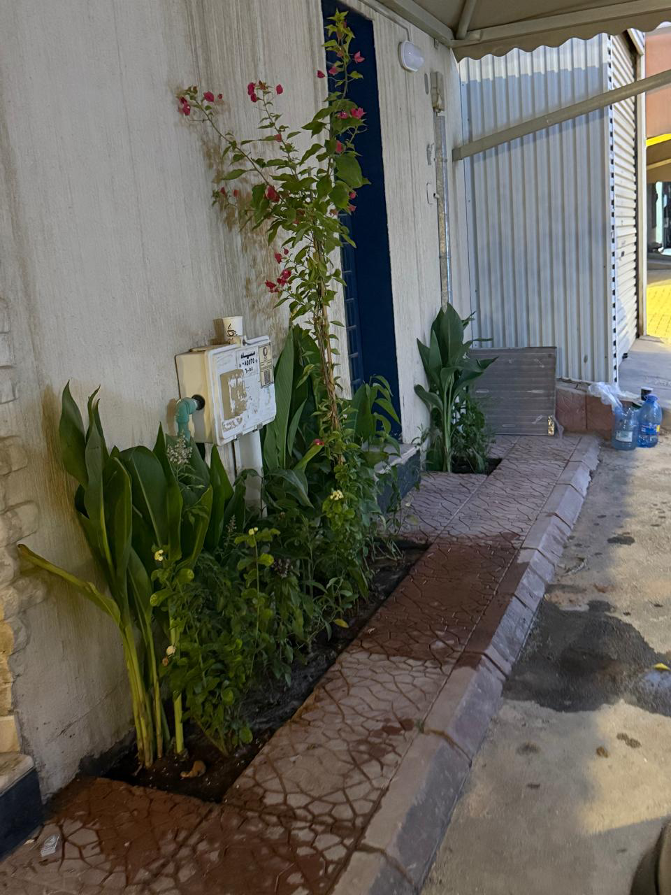 تنسيق حدائق - Image 8