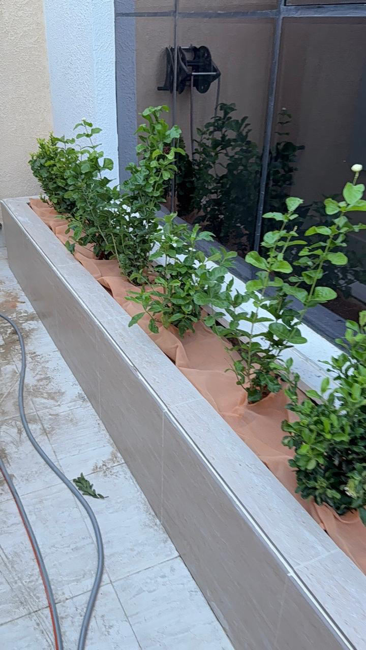 تنسيق حدائق - Image 9